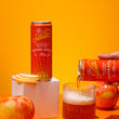 Load image into Gallery viewer, Organic Spiced Apple Tea Spritzer