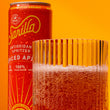 Load image into Gallery viewer, Organic Spiced Apple Tea Spritzer
