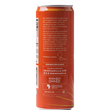 Load image into Gallery viewer, Organic Spiced Apple Tea Spritzer