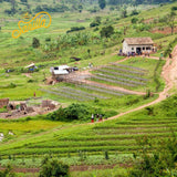 Rwanda  Sarilla mission impact photo