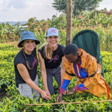 travel to rwanda with sarilla and visit the tea farmers and trek with the gorillas