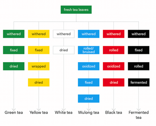 Tea Basics – Drink Sarilla