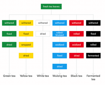 Tea Basics