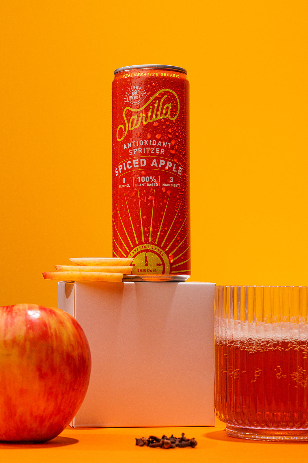 Organic Spiced Apple Tea Spritzer