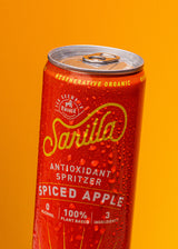 Organic Spiced Apple Tea Spritzer