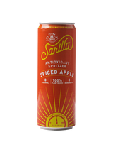 Organic Spiced Apple Tea Spritzer