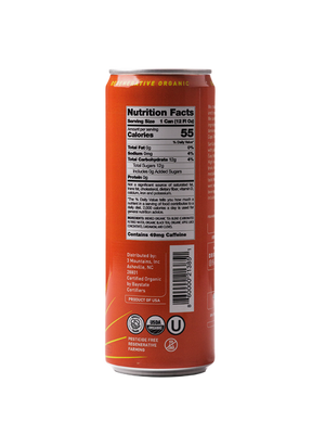Organic Spiced Apple Tea Spritzer