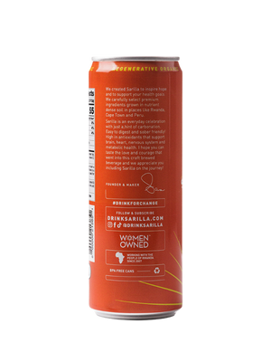 Organic Spiced Apple Tea Spritzer