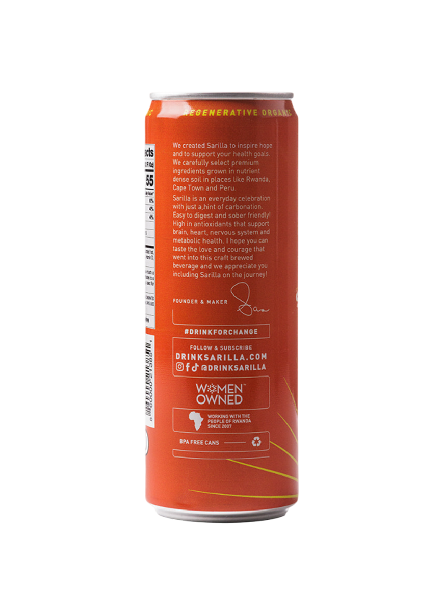 Organic Spiced Apple Tea Spritzer