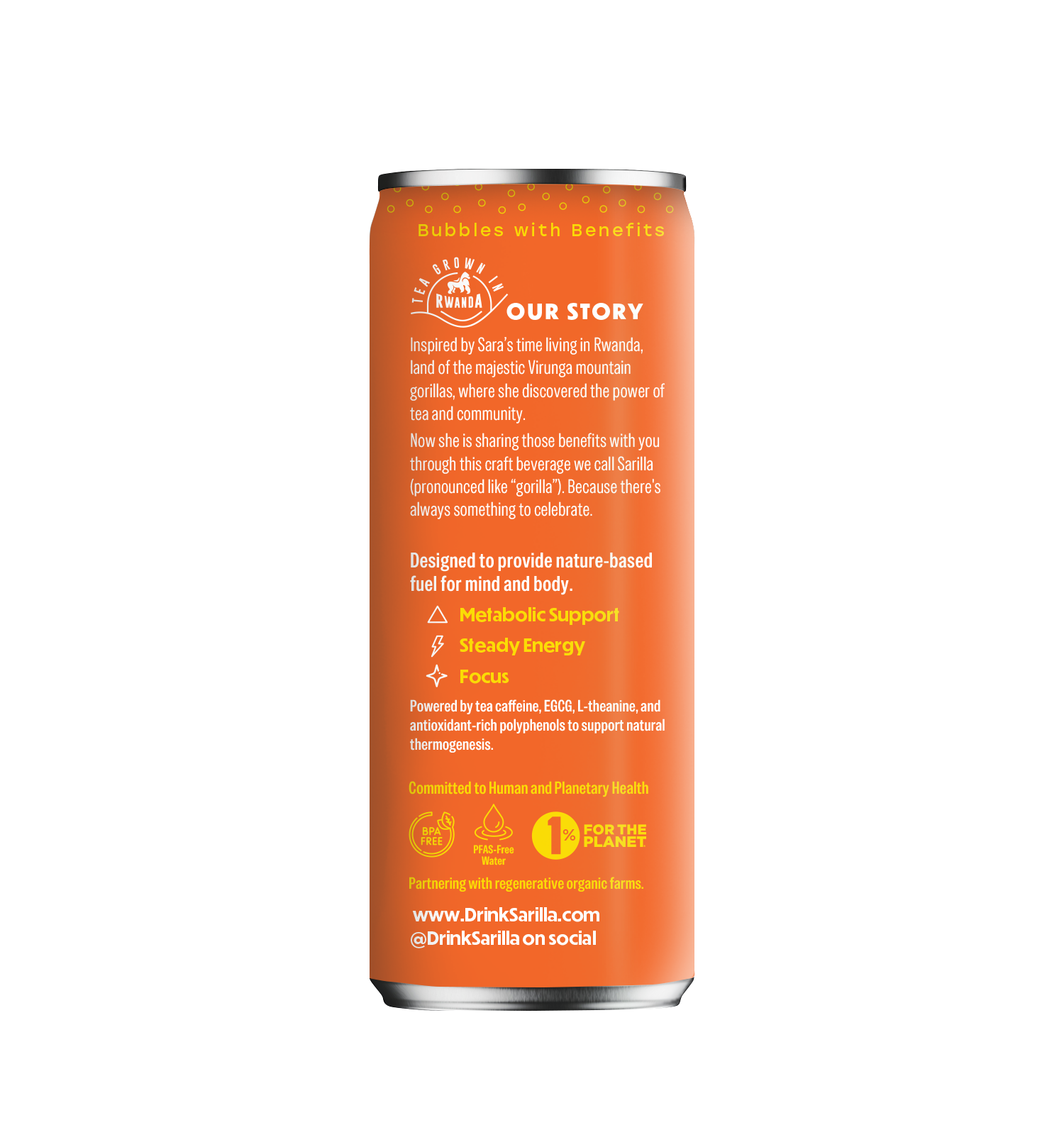 Organic Ginger Citrus Tea Spritzer: 4-pack or 12-pack