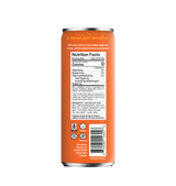 Sarilla Ginger Citrus Elevated Tea Spritzer