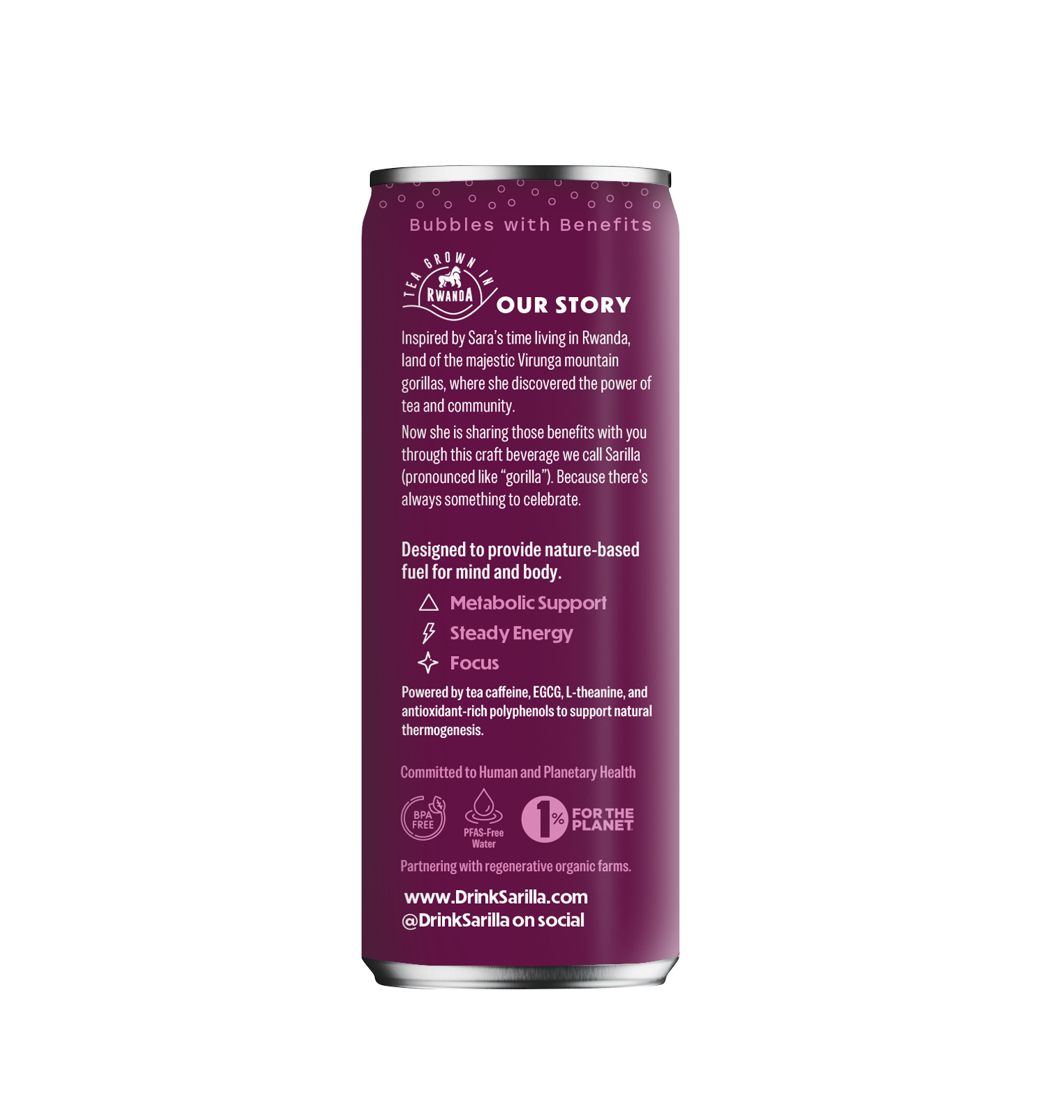 Organic Hibiscus Mint Tea Spritzer: 4-pack or 12 pack
