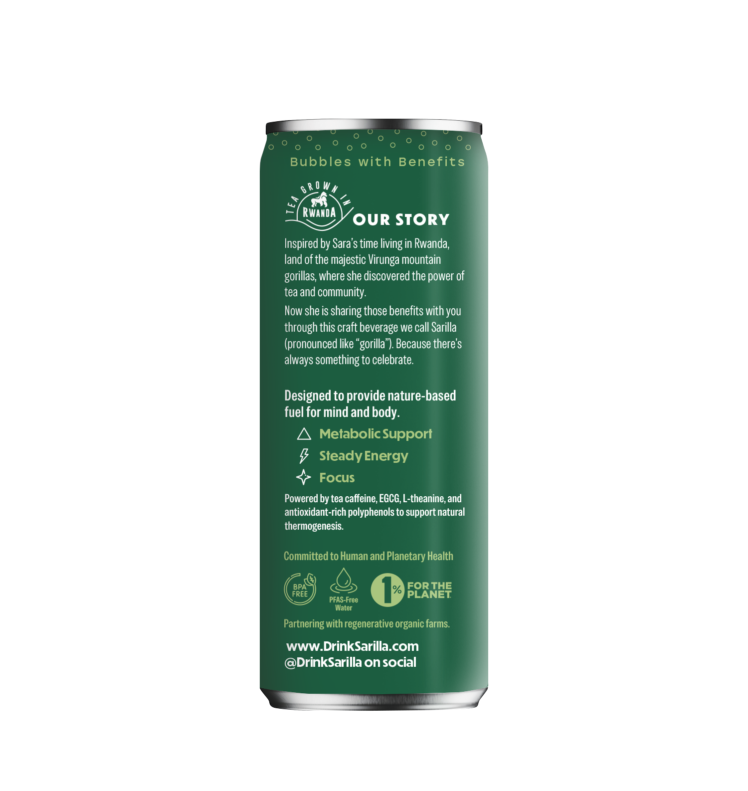 Organic Tulsi Basil Lime Tea Spritzer: 4-pack or 12-pack
