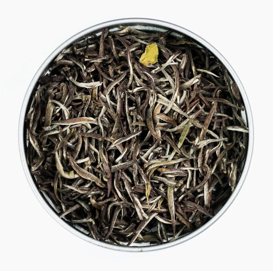 Silver Needles Tea Silver Needles White Tip Tea – Drink Sarilla